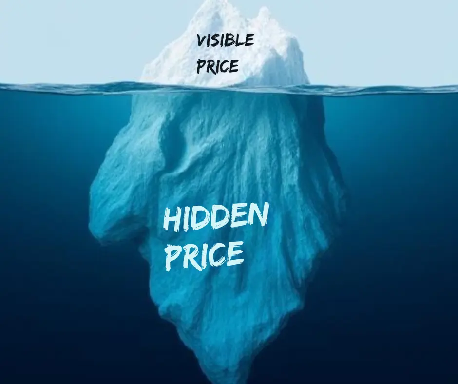 Cheap Websites Hidden Cost